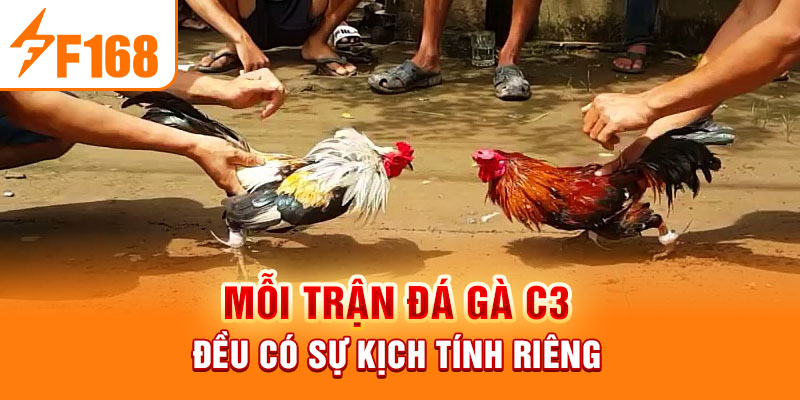 Đá Gà C3 - Sức Hấp Dẫn Của Môn Thể Thao Đỉnh Cao Hiện Nay Mỗi trận đá gà C3 đều có sự kịch tính riêng